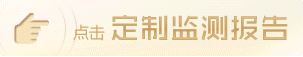 定制监测报告