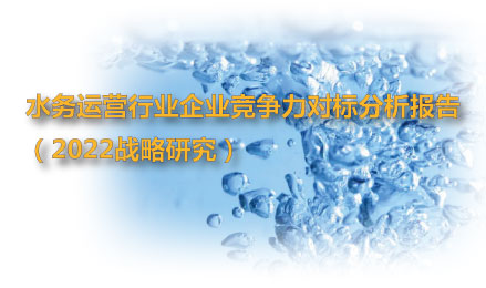 水务运营战略研究_企业竞争力对标