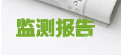 监测报告
